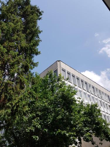 Unicorniselit Apartmanok