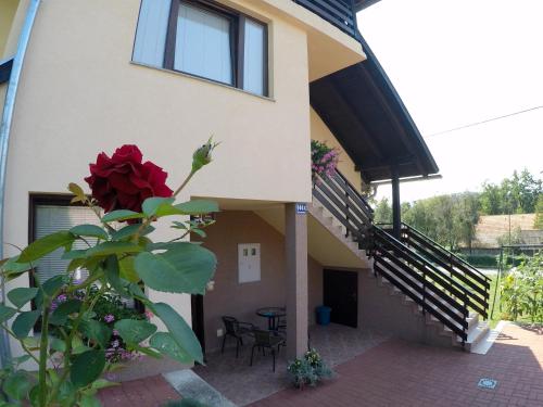 Apartment Ante