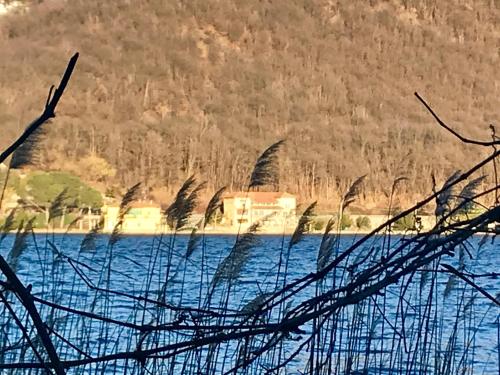 Notte Sul Lago
