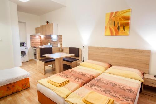 Apartmány - Penzion Smetanka