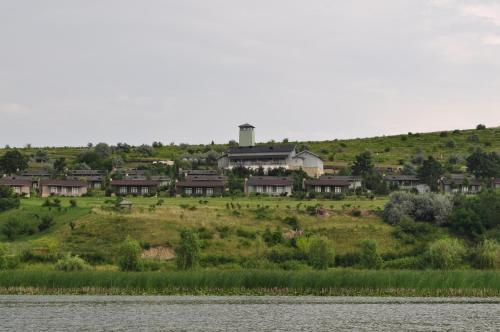 Delta Resort Treetop by Eight Continents