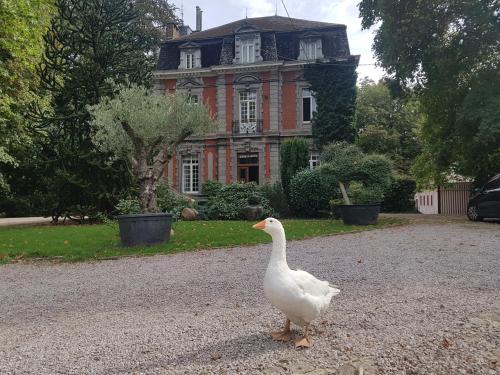 Château Lambert