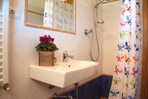 L'Azienda Fontetrilla