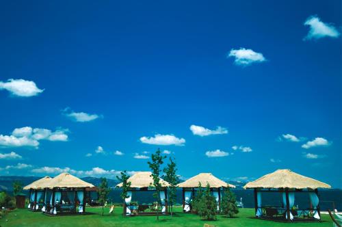 Richmond Nua Wellness-Spa