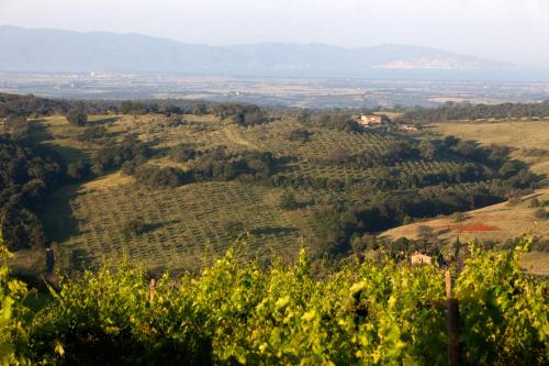 Casale Sterpeti