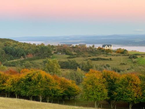 Dolphin View Cottages Hillockhead