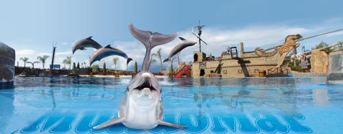 Hotel Benidorm East by Pierre & Vacances