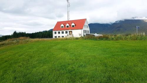霍尔特旅馆 | Holt Inn