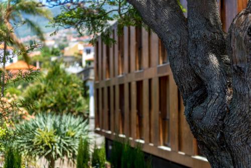 Arts In hotel Conde Carvalhal