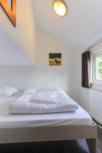 EuroParcs De Wije Werelt