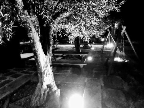 Casa Do Prado Guest House