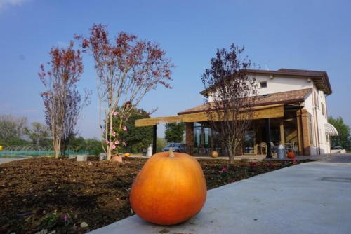 Agriturismo Campogrande