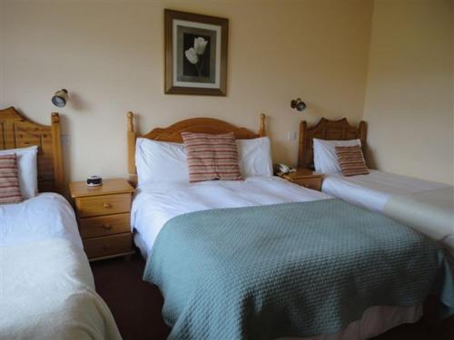 Alpine Guesthouse