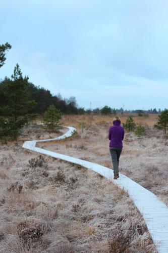 Entre Nature Et Circuit