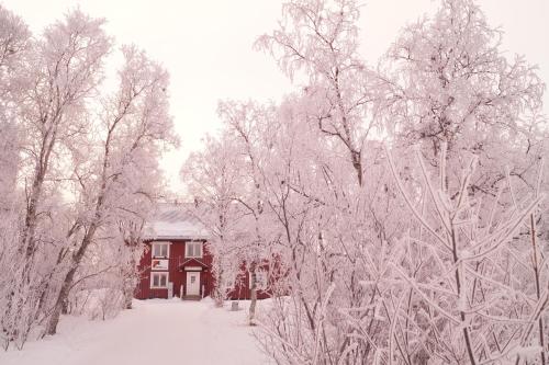 Abisko Net Hostel & Huskies