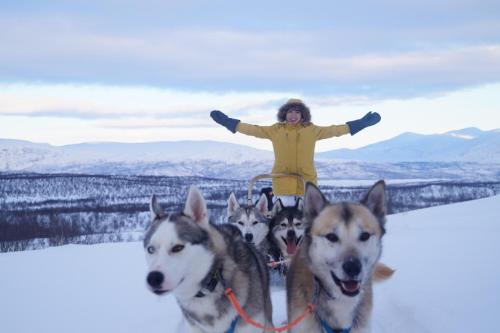 Abisko Net Hostel & Huskies
