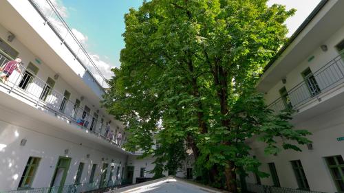 The Hive Party Hostel Budapest