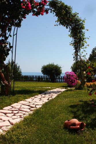 Bed & Breakfast Nefer