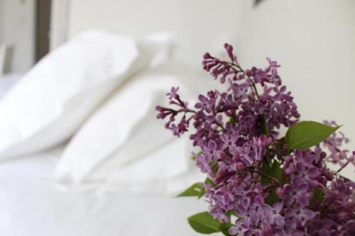 The Belfry & Spa Hotel