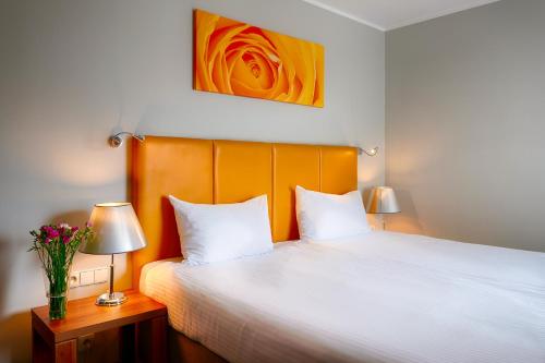 Focus Katowice Chorzow