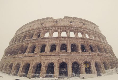 Dreaming Navona Rooms