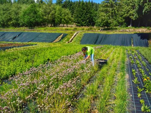Boticas Parque Natur Houses
