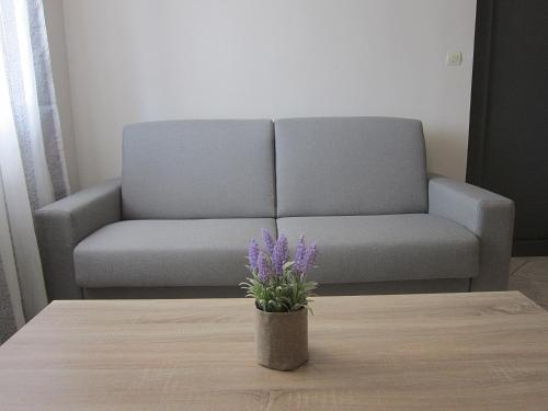 Blue Yard Apartments