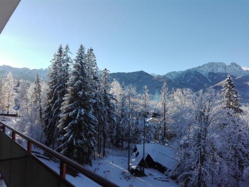 Geovita Zakopane