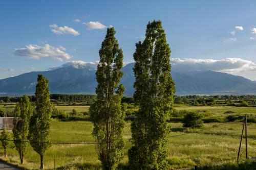 Niriides Studios And Apartments