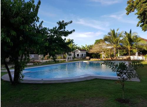 Kiwi's Hidden Resort