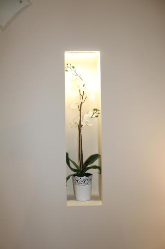 Bed & Breakfast Del Corso