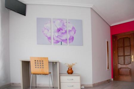 Pension Parque Del Ebro