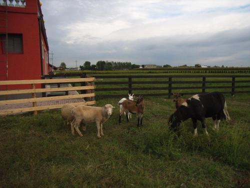 Tenuta del Vecchio Mulino