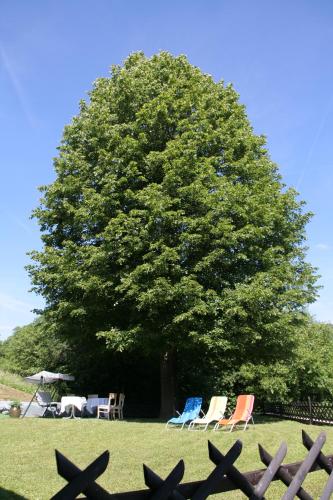 Pod Orehi Guest House