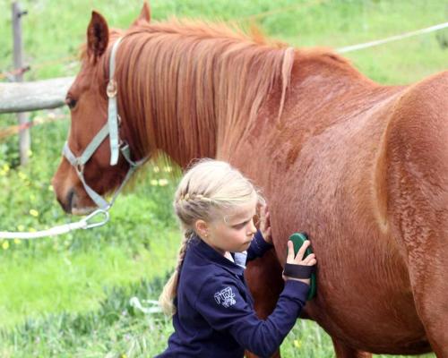 Quinta da Samoqueirinha