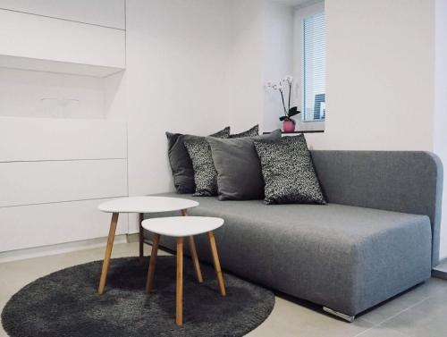 AP10 - Apartments 4U Březinova "Overnight Simply"