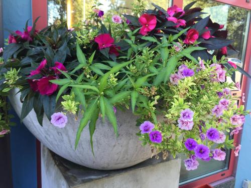 Art Hotel Ingolstadt