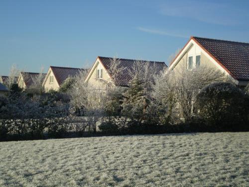 Duinpark De Witte Raaf