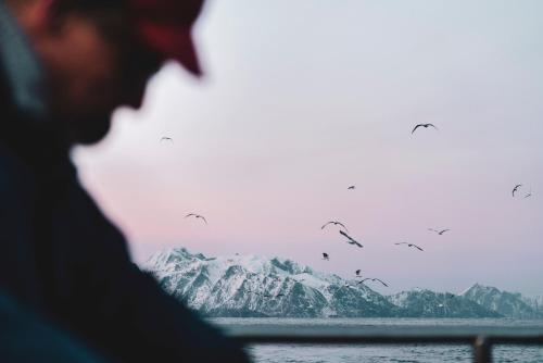 Holmen Lofoten