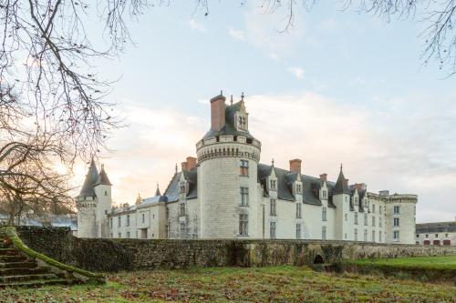 Chateau De Dissay