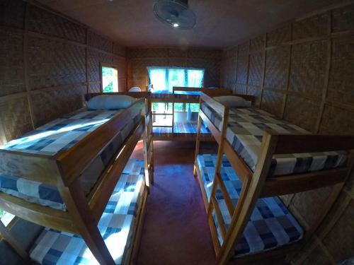 Lazy Lizard Hostel