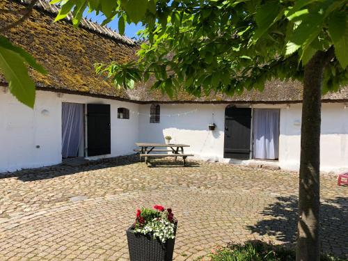 Straagaarden Nyord
