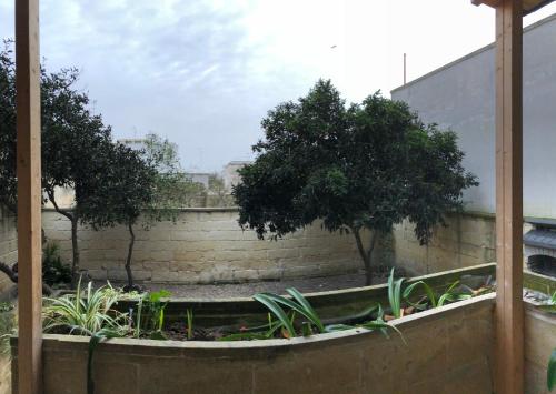 Monterussi