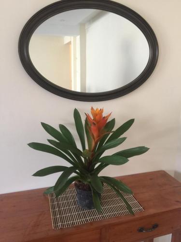 Squareville Subdivision