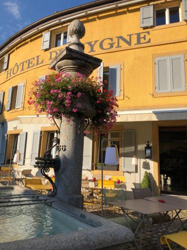 Hôtel Du Cygne