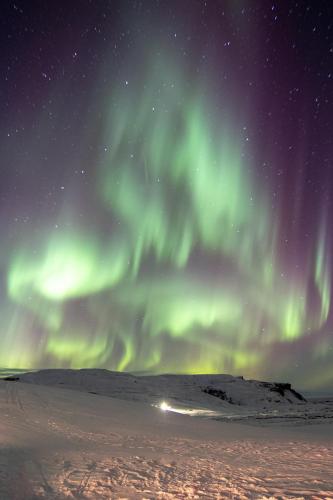 Dalshofdi Guesthouse