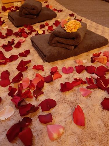 Underground Jacuzzi Rooms