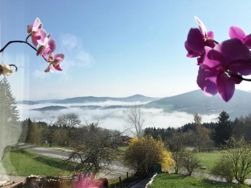 Ferienhaus Am Kagerstein