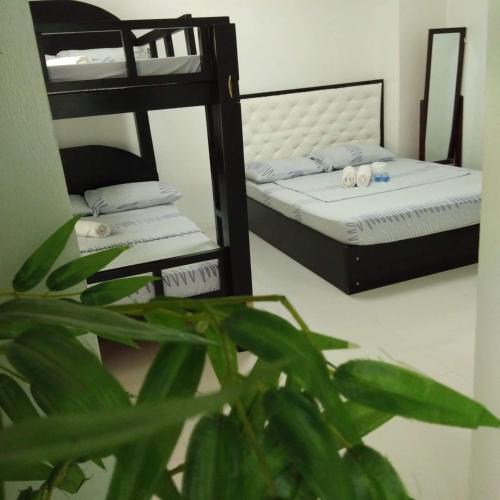 N&J Lopez Lodging House