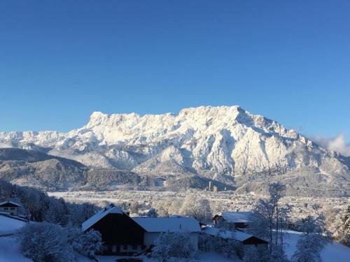 Gasthof Pension David